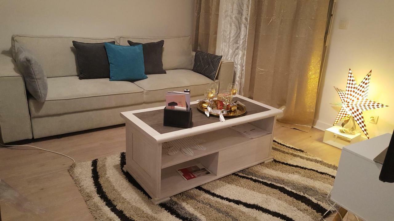 Appartement Spacieux Avec Terrasse Pres De Paris Et Du Stade De France Сен-Дені Екстер'єр фото